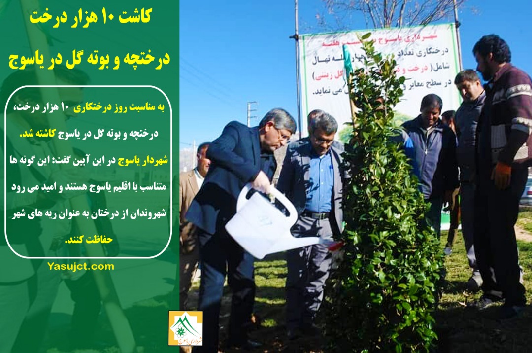 شهردار یاسوج: کاشت ۱۰ هزار درختچه در یاسوج
