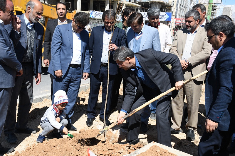 کاشت انواع نهال درخت در هفته درختکاری