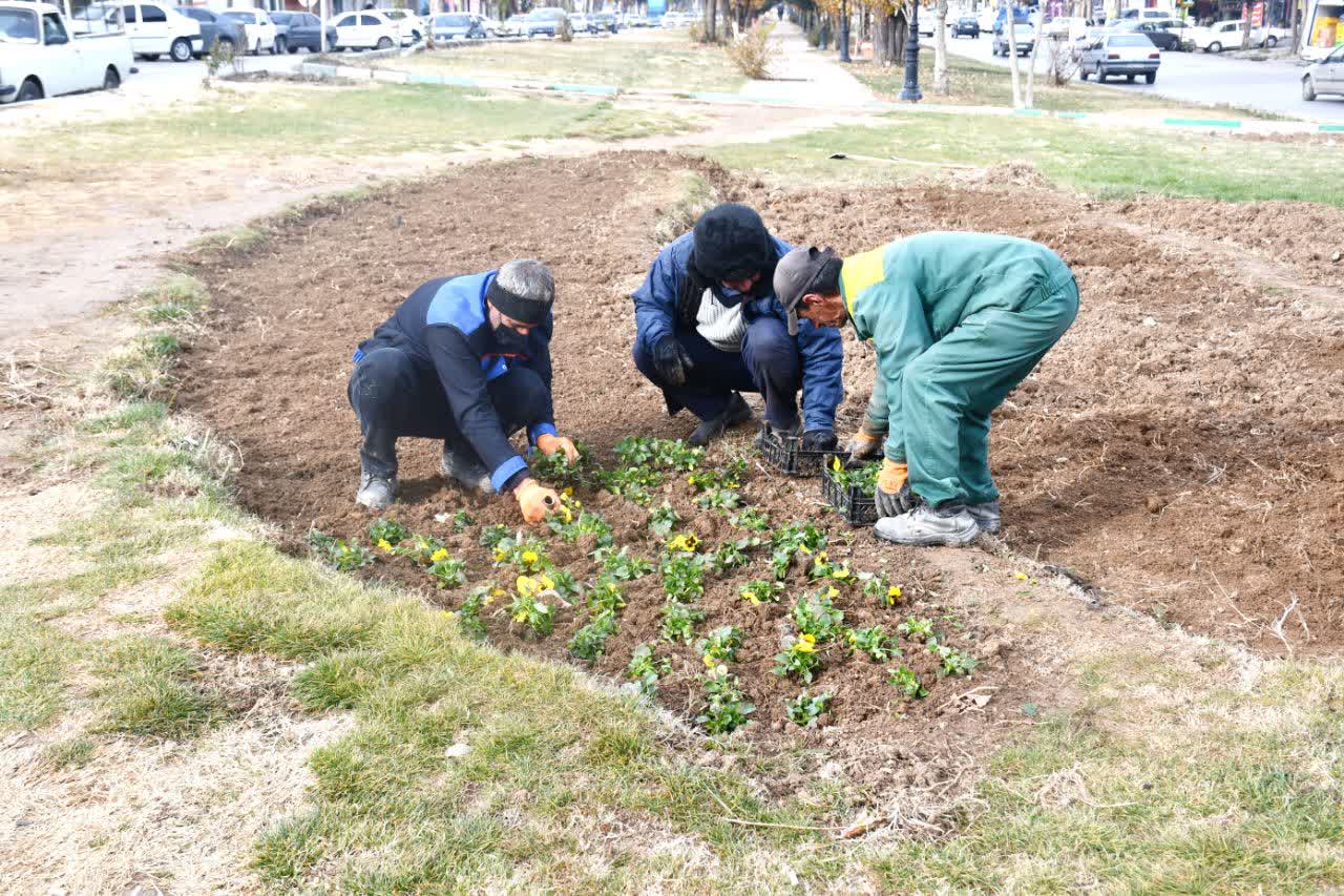 وقتی زمستان هم بوی بهار می‌گیرد 🌸