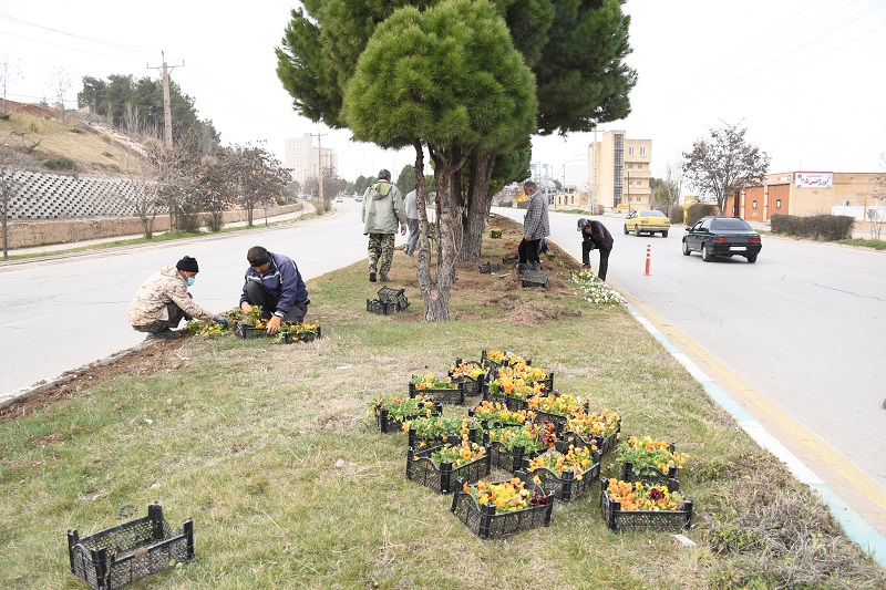 خانه تکانی شهر در آستانه بهار و استقبال از نوروز 