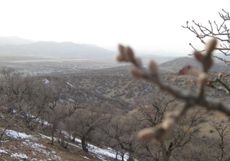 پارک کوهستان