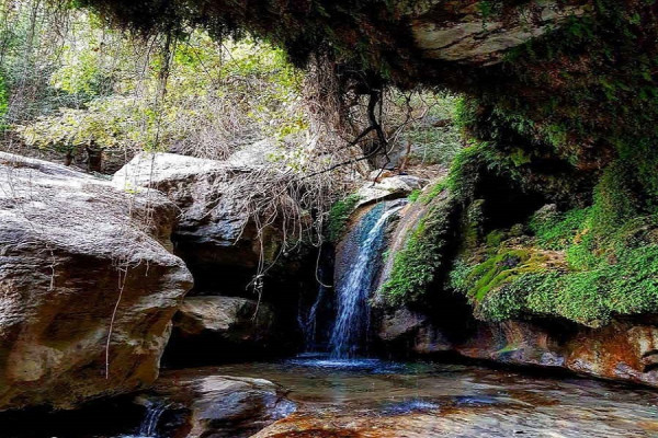 گنجینه یاسوج